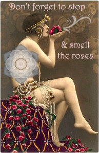 smell the roses 